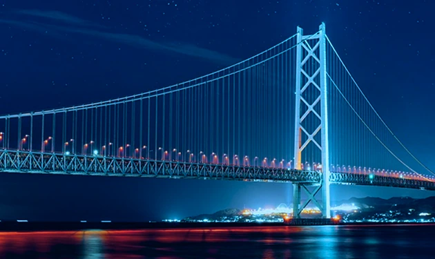 Coordination Challenges in Subsea–Terrestrial Integration